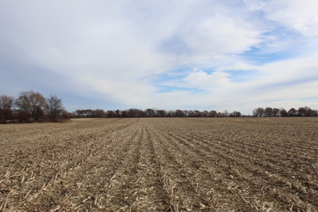 Missouri Land Auction - Fox Run Farms Tract 4 - image 14