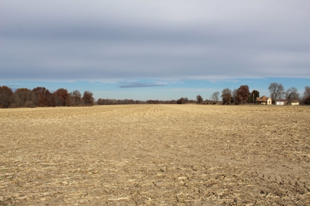 Missouri Land Auction - Fox Run Farms Tract 4 - image 16