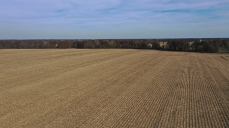 Missouri Land Auction - Fox Run Farms Tract 4 - image 1
