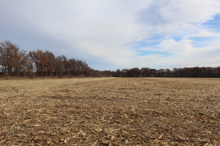 Missouri Land Auction - Fox Run Farms Tract 4 - image 10