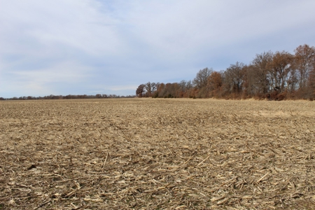 Missouri Land Auction - Fox Run Farms Tract 4 - image 11