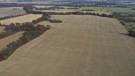 Missouri Land Auction - Fox Run Farms Tract 4 - image 2