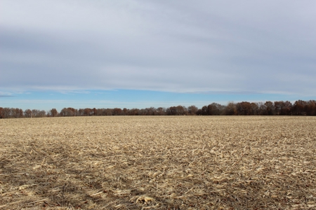 Missouri Land Auction - Fox Run Farms Tract 4 - image 15