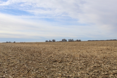 Missouri Land Auction - Fox Run Farms Tract 4 - image 13