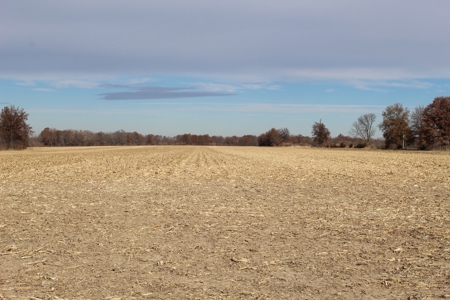 Missouri Land Auction - Fox Run Farms Tract 4 - image 18