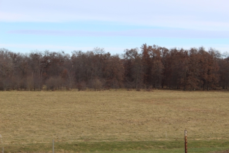 Missouri Land Auction - Fox Run Farms Tract 5 - image 13