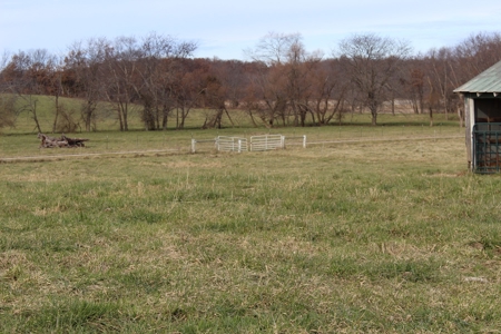 Missouri Land Auction - Fox Run Farms Tract 5 - image 8