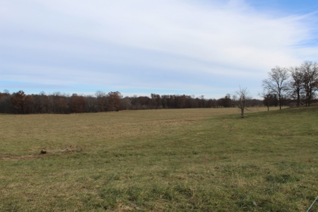 Missouri Land Auction - Fox Run Farms Tract 5 - image 5