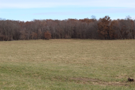 Missouri Land Auction - Fox Run Farms Tract 5 - image 7