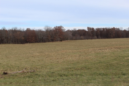 Missouri Land Auction - Fox Run Farms Tract 5 - image 6