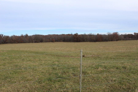 Missouri Land Auction - Fox Run Farms Tract 5 - image 2