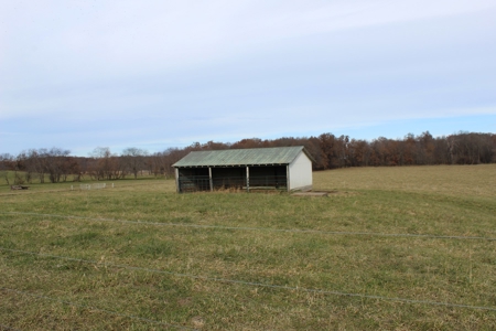 Missouri Land Auction - Fox Run Farms Tract 5 - image 3