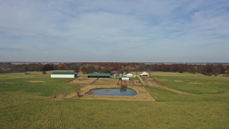 Missouri Land Auction - Fox Run Farms Tract 6 - image 20