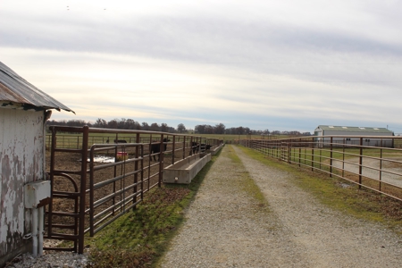 Missouri Land Auction - Fox Run Farms Tract 6 - image 24