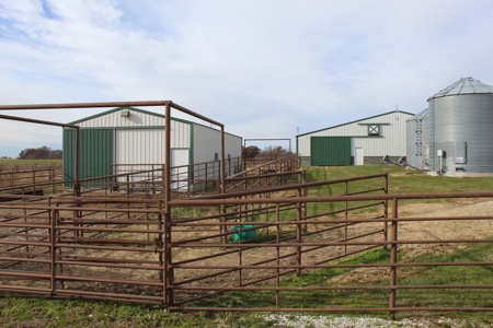 Missouri Land Auction - Fox Run Farms Tract 6 - image 29