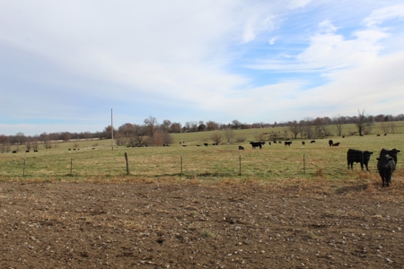 Missouri Land Auction - Fox Run Farms Tract 6 - image 34