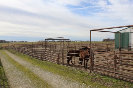 Missouri Land Auction - Fox Run Farms Tract 6 - image 28