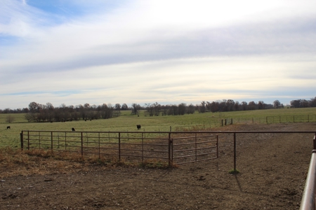 Missouri Land Auction - Fox Run Farms Tract 6 - image 33