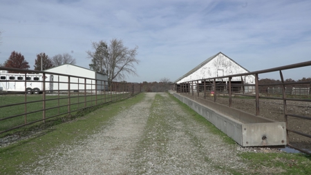 Missouri Land Auction - Fox Run Farms Tract 6 - image 6