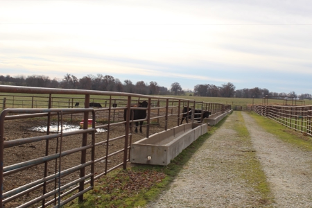 Missouri Land Auction - Fox Run Farms Tract 6 - image 27