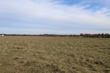 Missouri Land Auction - Fox Run Farms Tract 7 - image 4