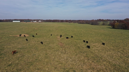 Missouri Land Auction - Fox Run Farms Tract 7 - image 2