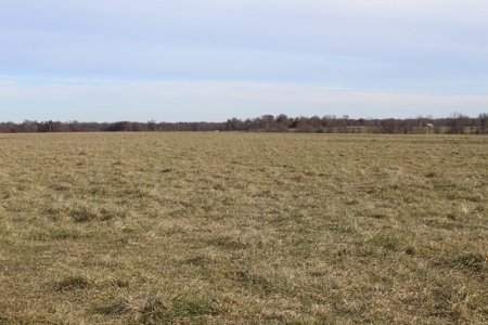 Missouri Land Auction - Fox Run Farms Tract 7 - image 10