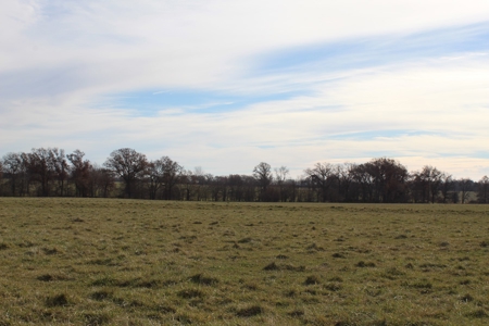 Missouri Land Auction - Fox Run Farms Tract 7 - image 7