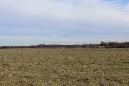 Missouri Land Auction - Fox Run Farms Tract 7 - image 5