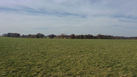 Missouri Land Auction - Fox Run Farms Tract 7 - image 3