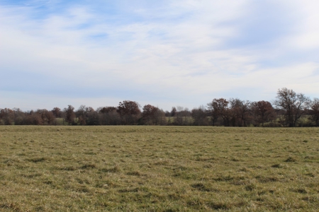 Missouri Land Auction - Fox Run Farms Tract 7 - image 6
