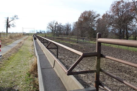 Fox Run Tract 8 - image 12