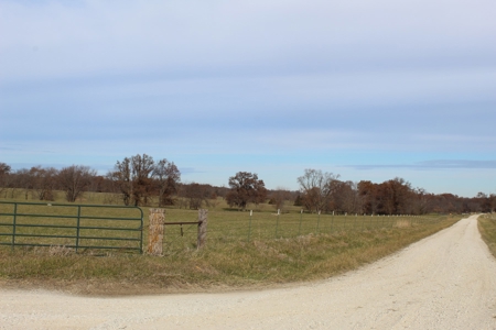 Fox Run Tract 8 - image 5