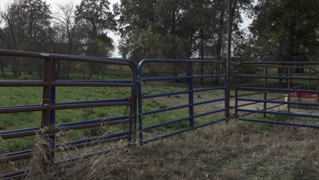 Fox Run Tract 8 - image 1