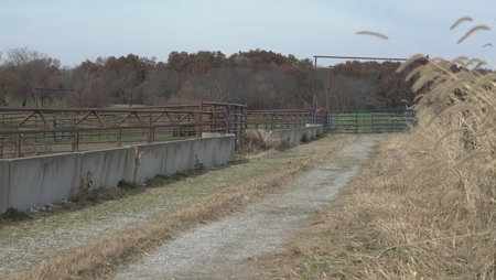 Fox Run Tract 8 - image 2
