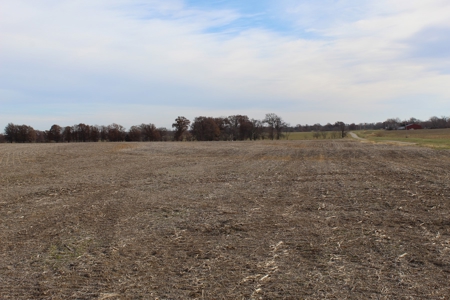 Missouri Land Auction - Fox Run Farms Tract 9 - image 15