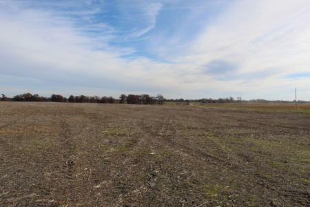 Missouri Land Auction - Fox Run Farms Tract 9 - image 7