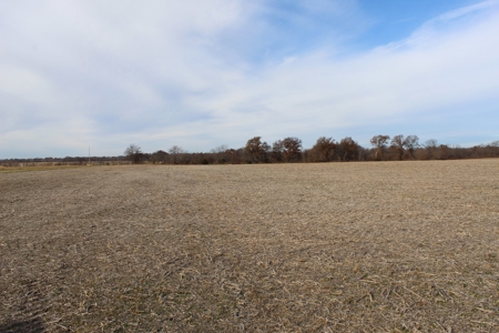 Missouri Land Auction - Fox Run Farms Tract 9 - image 8