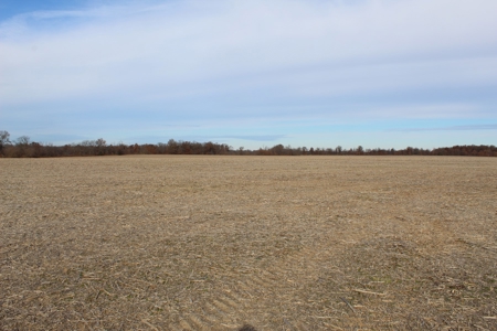 Missouri Land Auction - Fox Run Farms Tract 9 - image 4