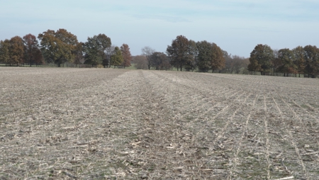Missouri Land Auction - Fox Run Farms Tract 9 - image 1