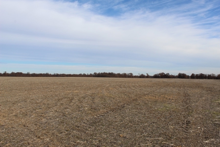 Missouri Land Auction - Fox Run Farms Tract 9 - image 6