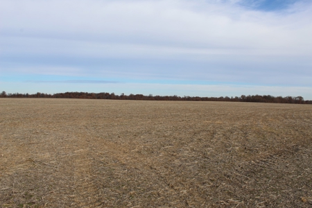 Missouri Land Auction - Fox Run Farms Tract 9 - image 11