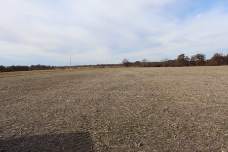 Missouri Land Auction - Fox Run Farms Tract 9 - image 9