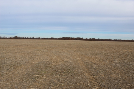 Missouri Land Auction - Fox Run Farms Tract 9 - image 5