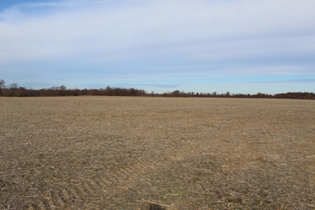 Missouri Land Auction - Fox Run Farms Tract 9 - image 10