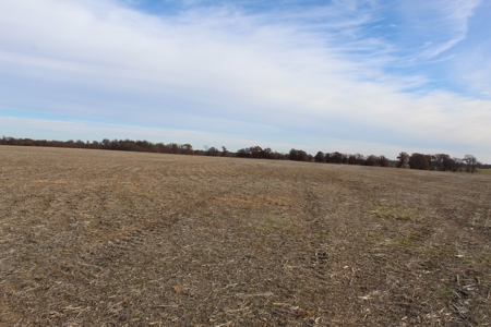 Missouri Land Auction - Fox Run Farms Tract 9 - image 12