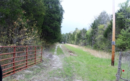 Ozark Mountain Cabin and 40Acres - image 15
