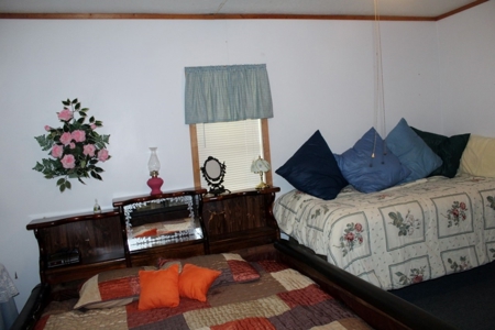 Ozark Mountain Cabin and 40Acres - image 14