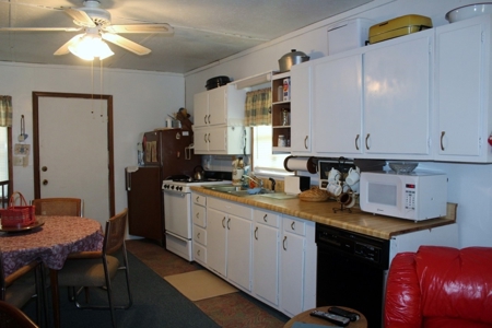 Ozark Mountain Cabin and 40Acres - image 9