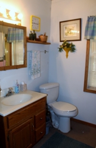 Ozark Mountain Cabin and 40Acres - image 11
